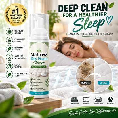 No-Rinse Mattress Dry Foam Cleaner