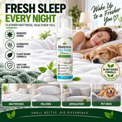 No-Rinse Mattress Dry Foam Cleaner