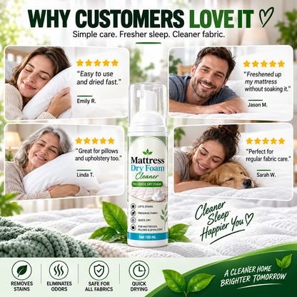 No-Rinse Mattress Dry Foam Cleaner